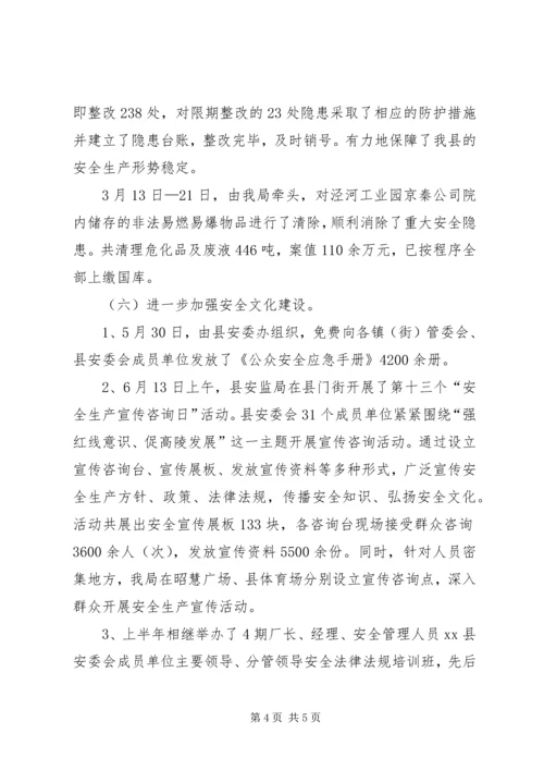 县安全生产监督管理局上半年综治工作报告.docx