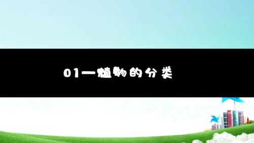 6.1.1 尝试生物进行分类八年级生物上册同步精品课件（人教版）(共30张PPT)