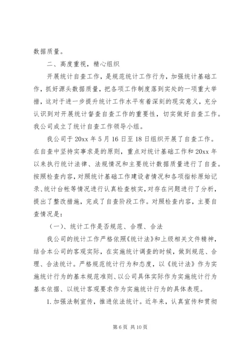 最新统计工作自查报告范文.docx