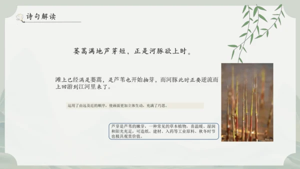 1《古诗三首》其一惠崇春江晚景   课件