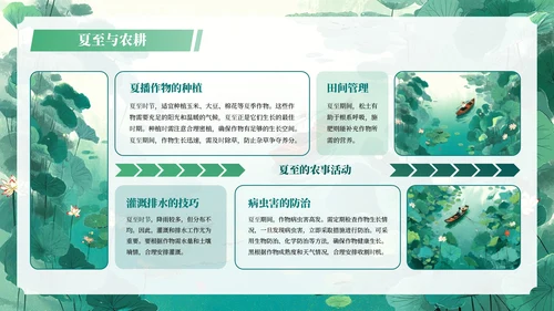 绿色插画二十四节气之夏至教学课件PPT模板