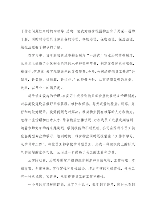 实习报告内容