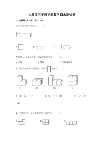 人教版五年级下册数学期末测试卷（易错题）word版.docx