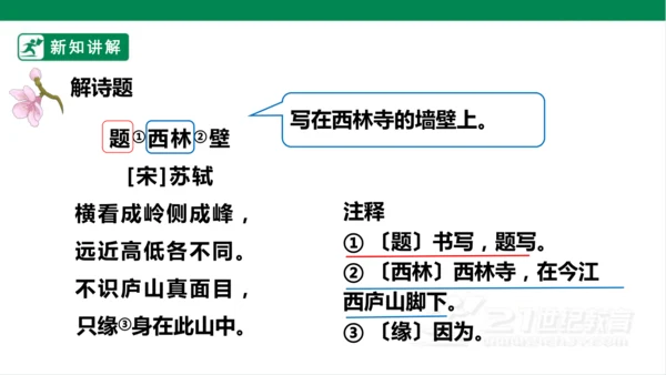 9. 古诗三首 第二课时 课件