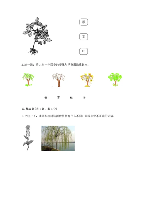 教科版科学一年级上册第一单元《植物》测试卷含答案【完整版】.docx