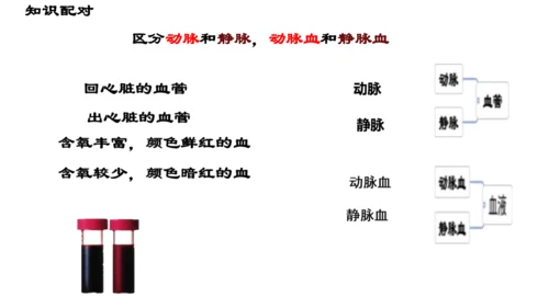 初中生物学人教版（新课程标准）七年级下册4.4.3输送血液的泵──心脏课件(共27张PPT)