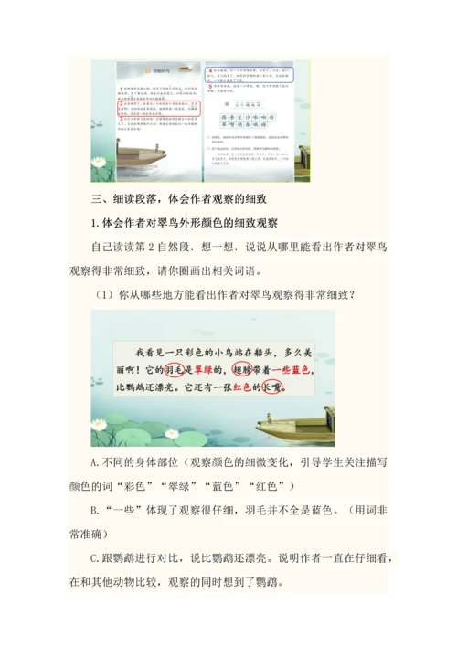 留心观察抓特点--三年级语文上册第五单元《搭船的鸟》教学设计.docx