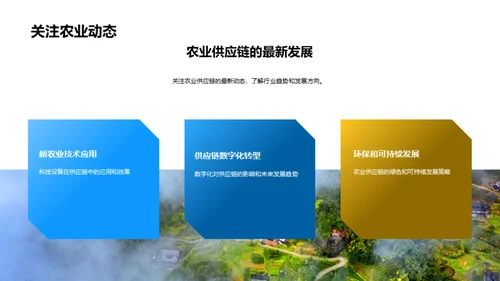 农业供应链全面回顾
