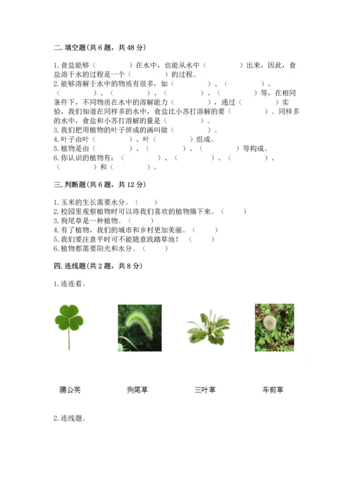 教科版科学一年级上册第一单元《植物》测试卷含答案【基础题】.docx