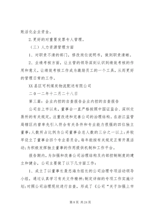 可利公司企业内控自查报告.docx