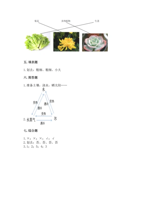 教科版科学一年级上册第一单元《植物》测试卷及完整答案（夺冠系列）.docx