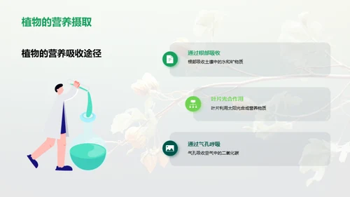 植物世界探秘