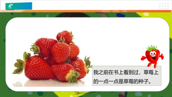 第4课试种一粒籽（课件）（共27张PPT）