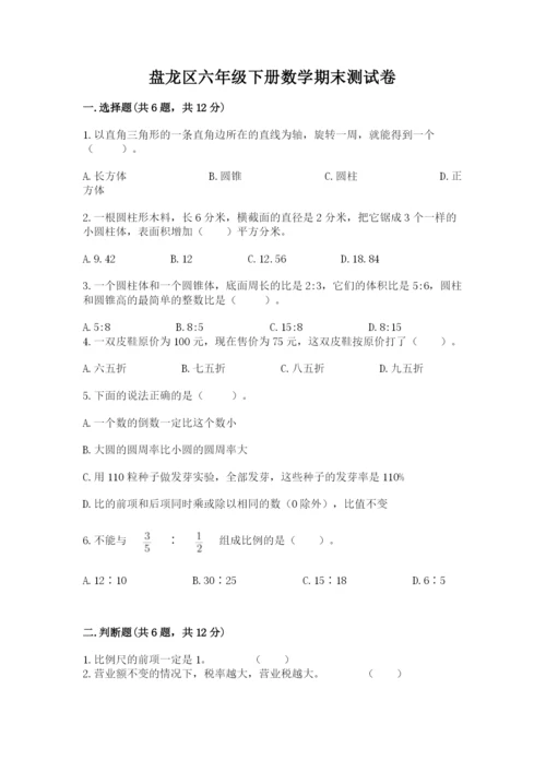 盘龙区六年级下册数学期末测试卷及一套完整答案.docx