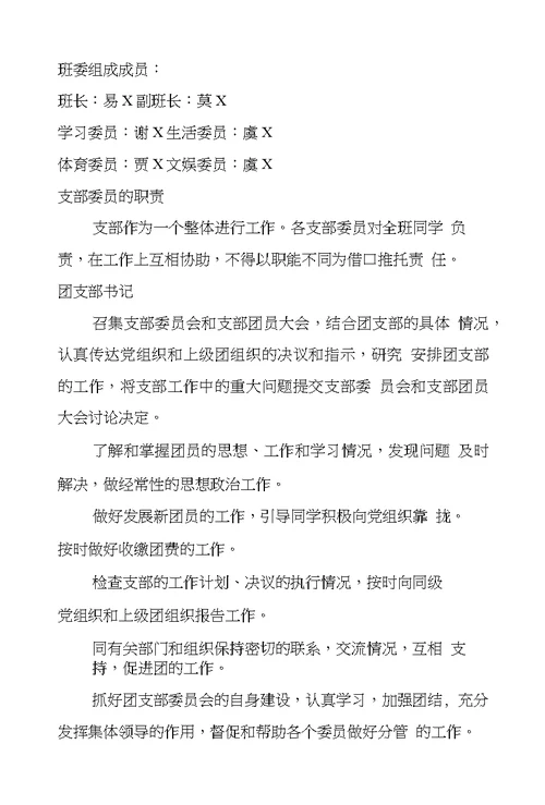 五四红旗团支部申报材料
