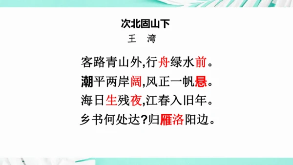 第一单元 复习课件(共75张PPT)