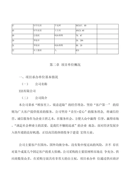 模板污水泵项目投资分析计划书参考方案