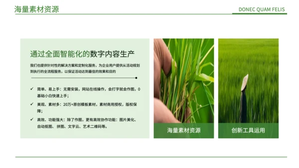 绿色简约风现代农业发展PPT