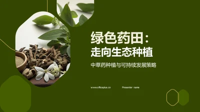 绿色药田：走向生态种植