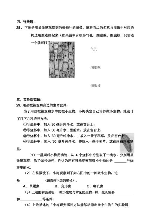 嘉兴市小学科学毕业综合试卷集及答案.docx