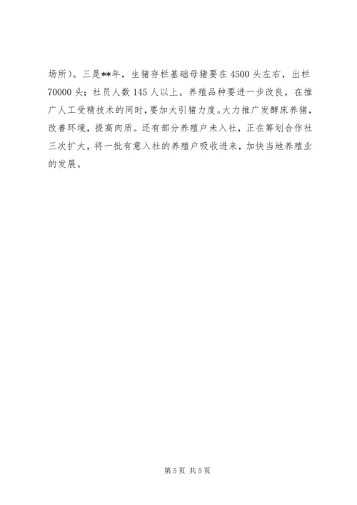 共赢养猪专业合作社典型材料.docx