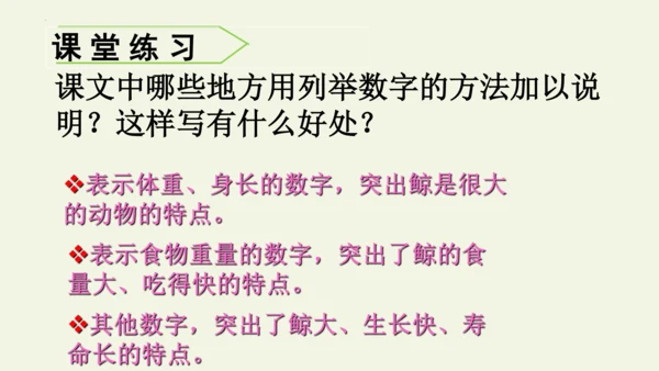 部编版 五年级语文上册第五单元习作例文 《鲸》（课件）
