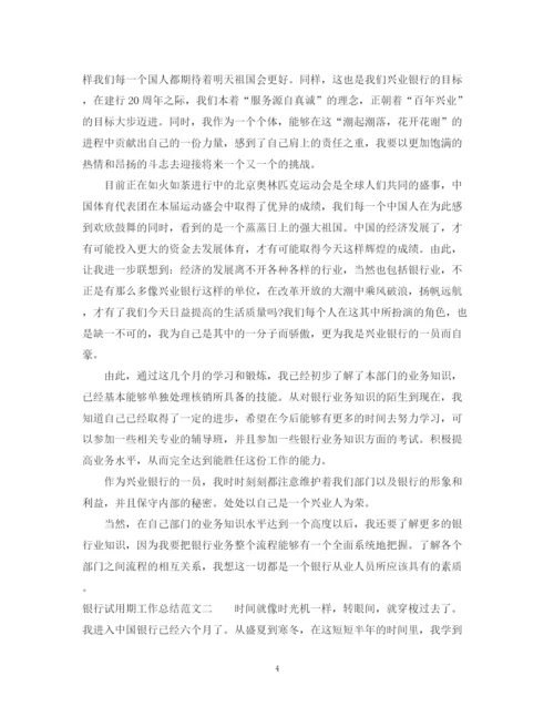 精编之银行试用期工作总结范文.docx