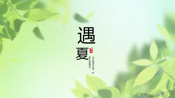 遇夏文艺小清新工作总结汇报动态PPT