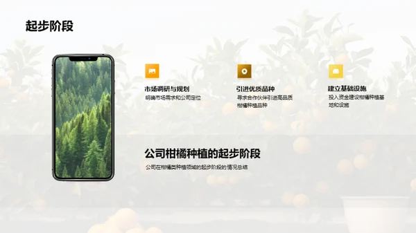 柑橘产业：未来之路