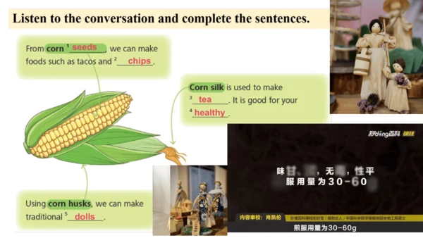 Unit 6 The power of plants 第3课时 Developing ideas课件