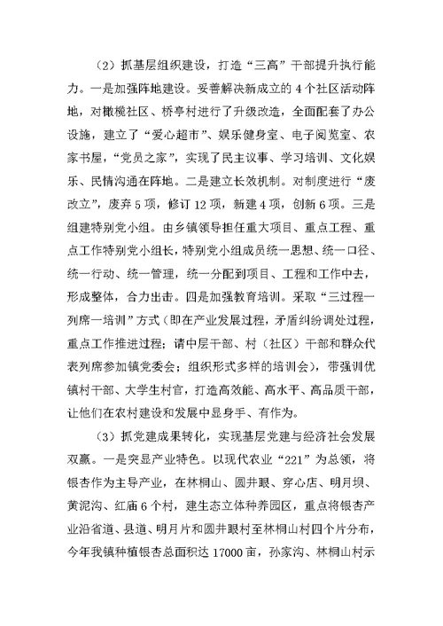 XX年乡镇党建工作总结