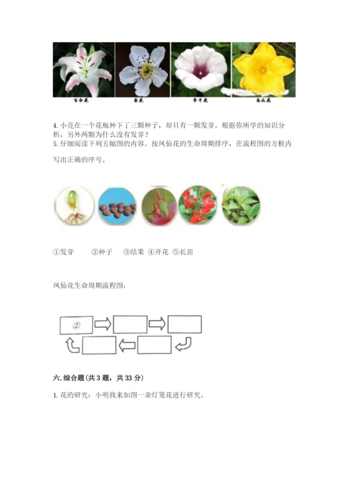 科学四年级下册第一单元植物的生长变化测试卷精品【考试直接用】.docx