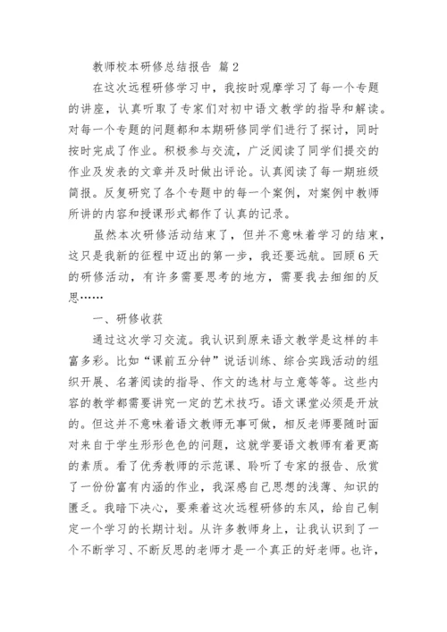 教师校本研修总结报告.docx