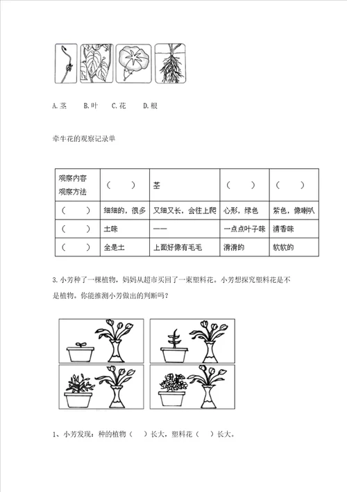 教科版科学一年级上册第一单元《植物》测试卷（名校卷）word版