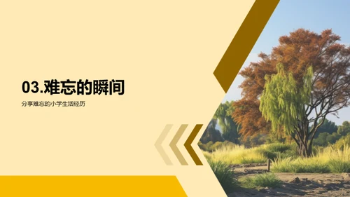 小学往事回味录