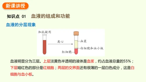 4.4.1流动的组织——血液-七年级生物下学期同步精品课件（2024人教版）(共38张PPT)