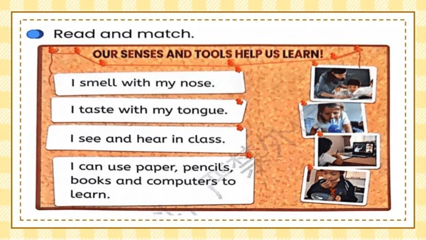 Unit 3 Learning better Part B课件（19张PPT)