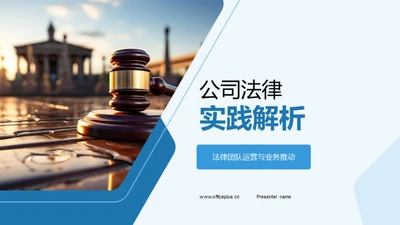 公司法律实践解析