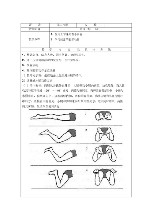 蛙泳教案(12次课) 8543