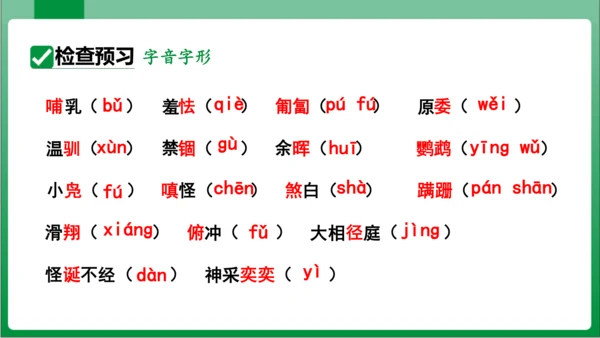 17.动物笑谈（课件）【2023秋人教七上语文高效实用备课】(共33张PPT)