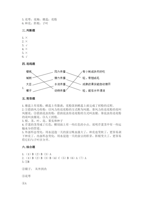 教科版四年级下册科学第一单元《植物的生长变化》测试卷word.docx