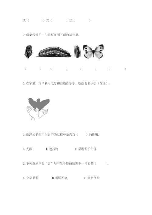教科版三年级下册科学期末测试卷附参考答案【达标题】.docx