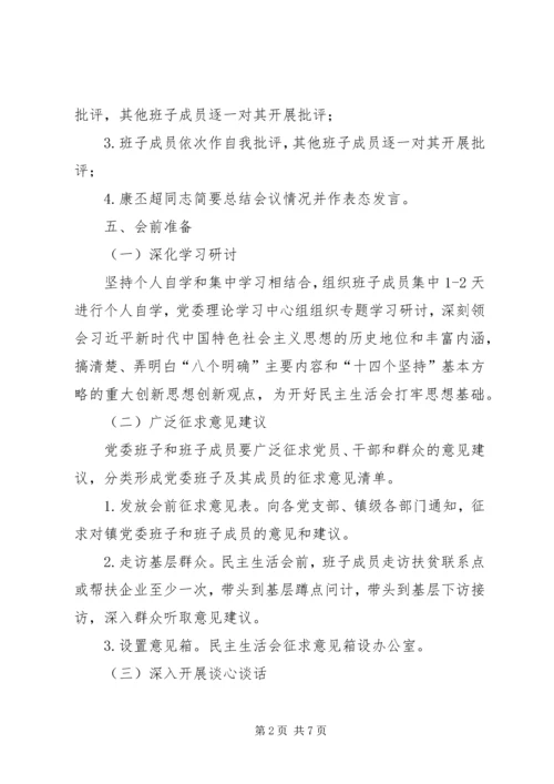 乡镇委员会某年度民主生活会方案.docx