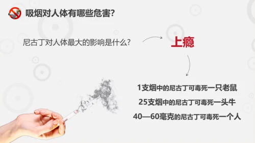 吸烟有害健康世界无烟日主题教育PPT课件
