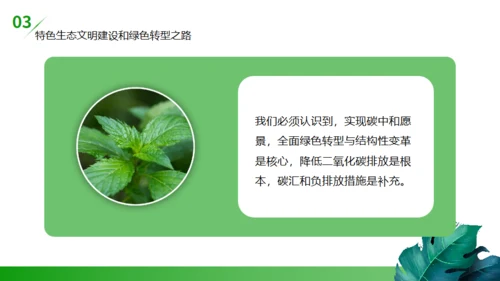 碳达峰碳中和低炭经济环境保护通用PPT模板