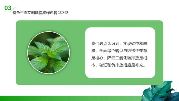 碳达峰碳中和低炭经济环境保护通用PPT模板