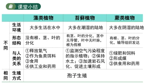 2.1.1藻类、苔藓植物和蕨类植物-七年级生物上学期同步优质课件（人教版2024）(共26张PPT)