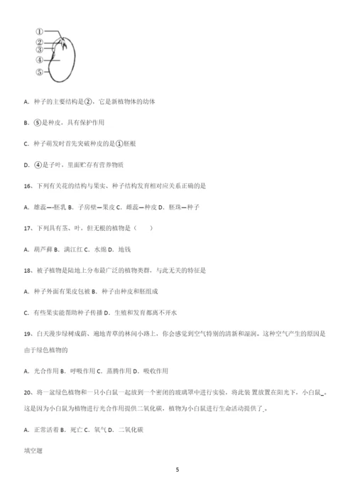 通用版初中生物七年级上册第三单元生物圈中的绿色植物专项训练题.docx