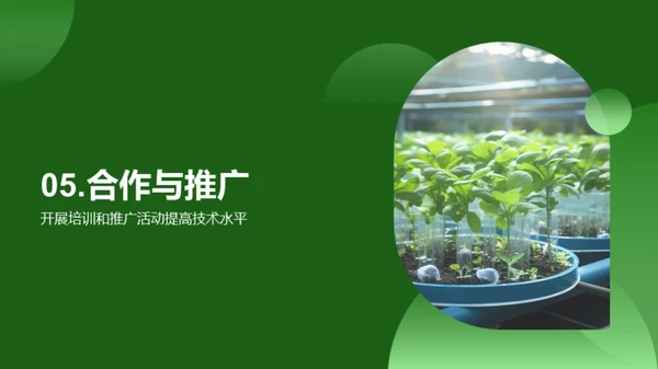 破局林木育苗