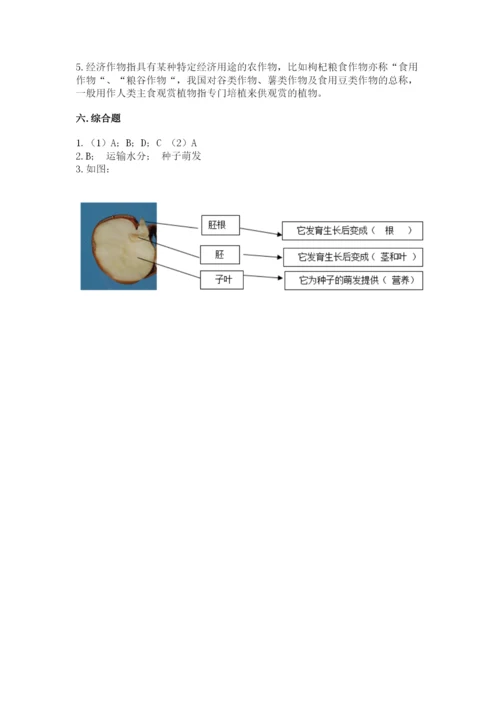 教科版科学四年级下册第一单元《植物的生长变化》测试卷加精品答案.docx